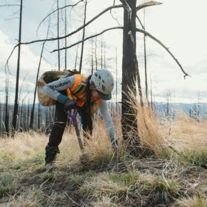 Veritree | Nicola | British Columbia