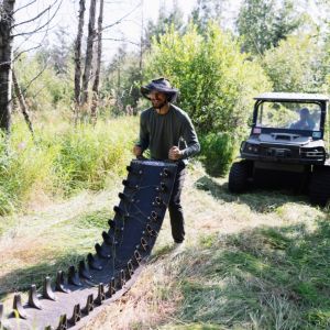 Veritree | Sawle Lake | Alberta