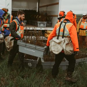 Veritree | Sudbury | Ontario