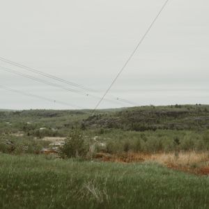 Veritree | Sudbury | Ontario